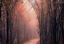 云达不莱梅，绿茵场上的王者之风再起！