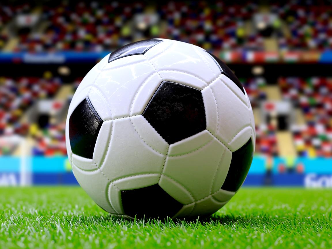 开云体育app官网-体育新闻中心上线智能体育新闻推荐系统，《体育新闻》  第2张