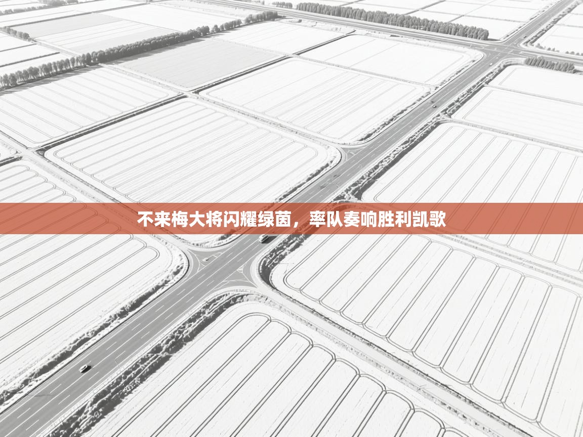 不来梅大将闪耀绿茵，率队奏响胜利凯歌  第1张