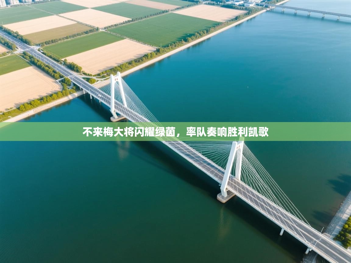 不来梅大将闪耀绿茵，率队奏响胜利凯歌  第2张