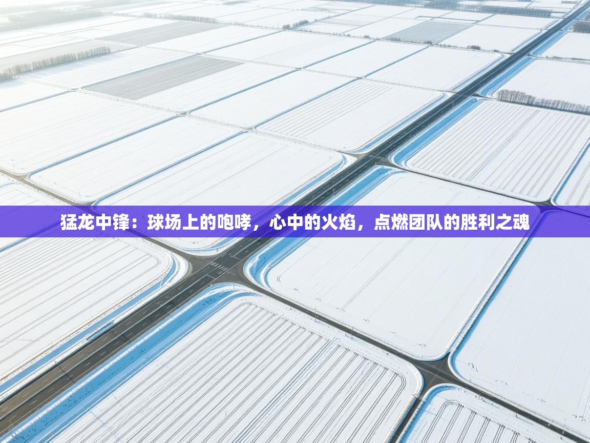 猛龙中锋：球场上的咆哮，心中的火焰，点燃团队的胜利之魂  第2张